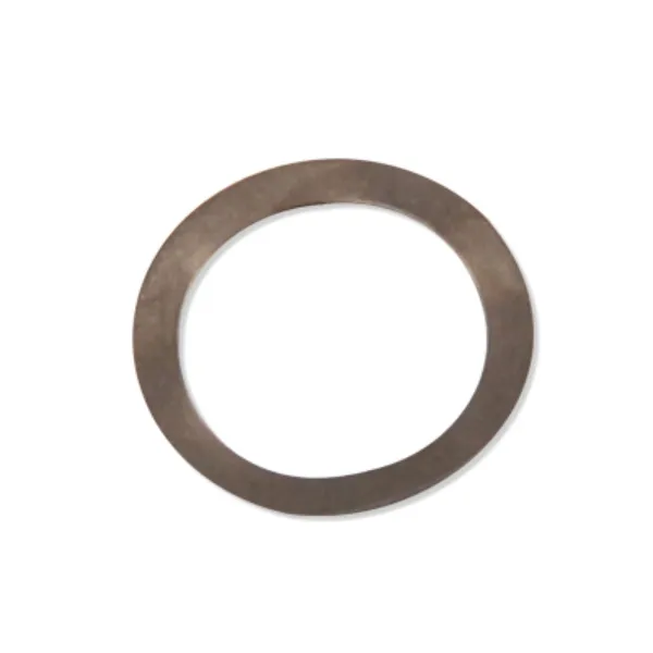 Wave Washer 9-LMCR2-014-01 1/EA